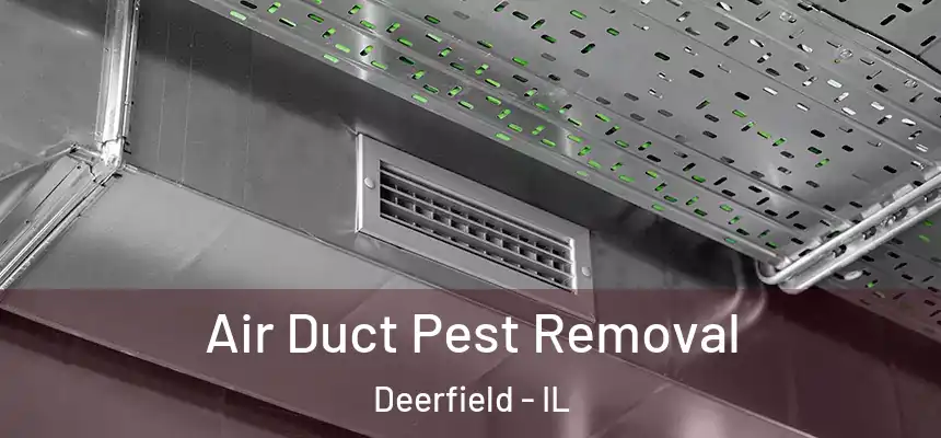 Air Duct Pest Removal Deerfield - IL