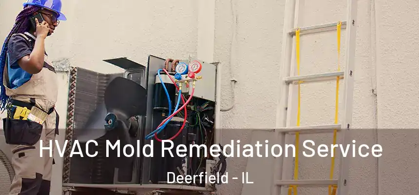 HVAC Mold Remediation Service Deerfield - IL