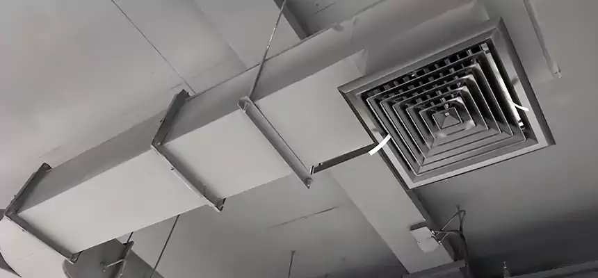 Restorative Allergy Relief Vent Cleaning – Coil, Blower & Housing Detail in Deerfield