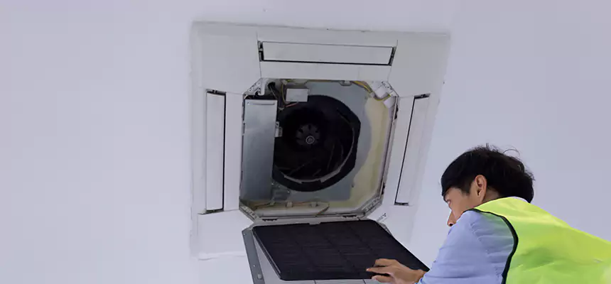 Our Dryer Vent Sanitization Service Services in Deerfield, IL