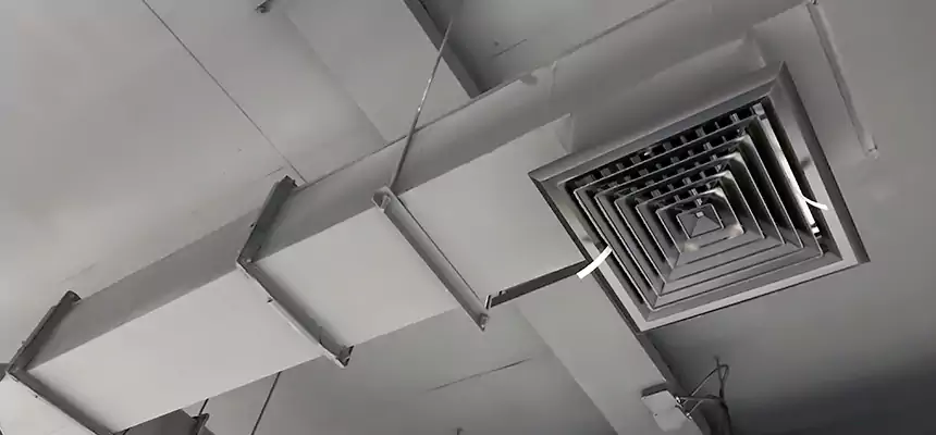 Our Rodent Droppings In Vents Services in Deerfield, IL