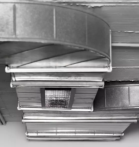 Professional Air Duct Pest Removal in Deerfield, IL