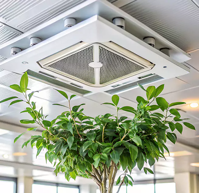 Why Homeowners & Businesses Trust Us in Deerfield, IL?